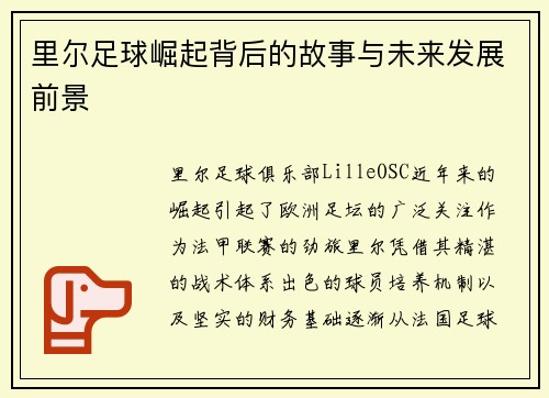 里尔足球崛起背后的故事与未来发展前景 里尔足球崛起背后的故事与未来发展前景